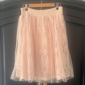 Elegant Lined Pink Skirt with Tulle and Embroidered Design